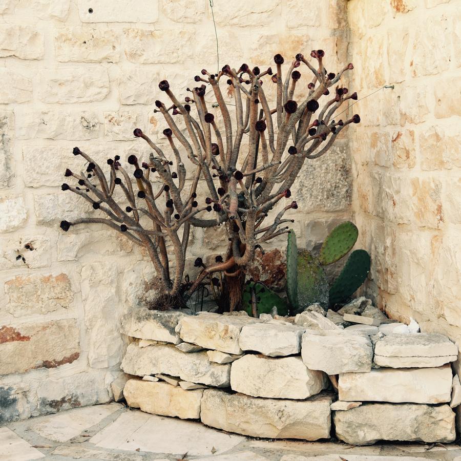 Regina Di Ulivi Bed & Breakfast Ostuni Luaran gambar